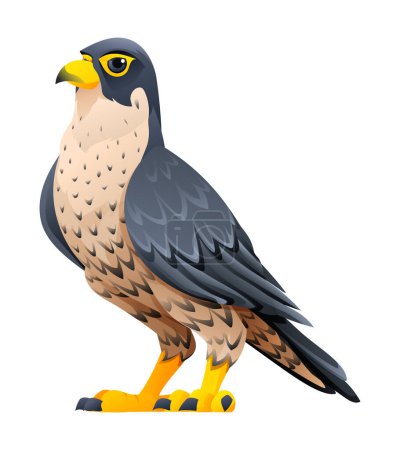 Illustration for Peregrine falcon cartoon illustration isolated on white background - Royalty Free Image