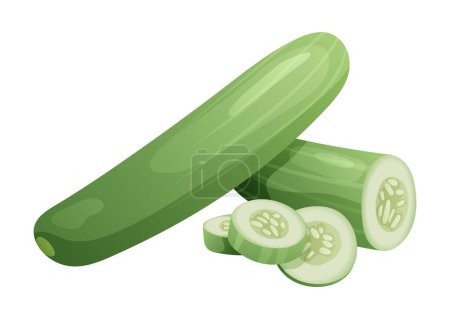 Illustration for Set of cucumber whole, half and cut slice illustration isolated on white background - Royalty Free Image