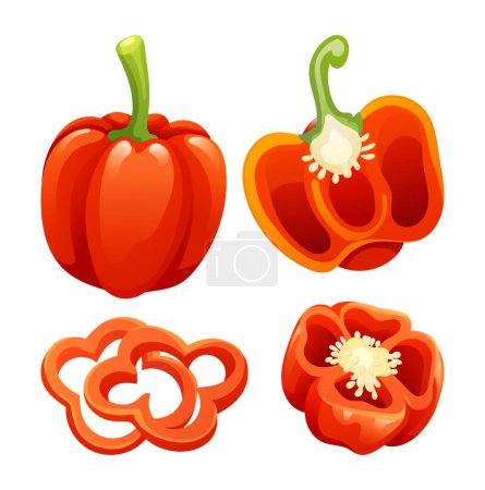Illustration for Set of red bell pepper whole, half and cut slice illustration isolated on white background - Royalty Free Image