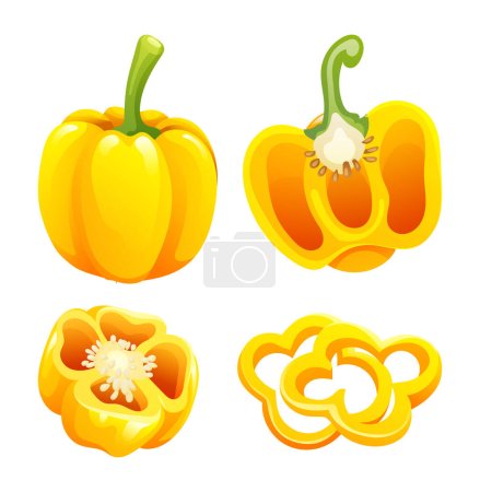 Illustration for Set of yellow bell pepper whole, half and cut slice illustration isolated on white background - Royalty Free Image