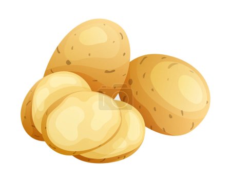 Illustration for Set of potato whole, half and cut slice illustration isolated on white background - Royalty Free Image