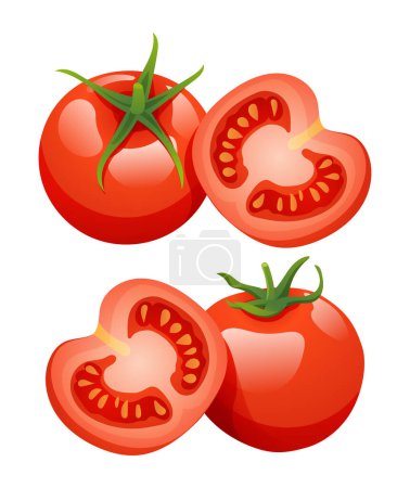 Téléchargez les illustrations : Ensemble d'illustrations de tomates isolées sur fond blanc - en licence libre de droit