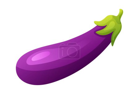 Illustration for Eggplant vector illustration. Fresh vegetable isolated on white background - Royalty Free Image
