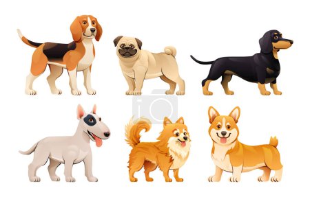 Téléchargez les illustrations : Ensemble de différentes races de chiens en style dessin animé. Illustration vectorielle Beagle, Pug, Dachshund, Bull Terrier, Poméranie et Corgi - en licence libre de droit