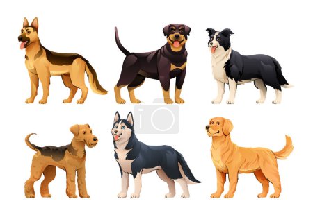 Ilustración de Conjunto de diferentes razas de perros en estilo de dibujos animados. Pastor alemán, Rottweiler, Border Collie, Airedale Terrier, Husky siberiano, Golden Retriever vector ilustración - Imagen libre de derechos
