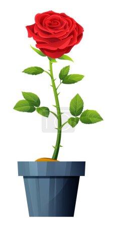 Téléchargez les illustrations : Belle rose rouge en pot vectoriel illustration isolée sur blanc - en licence libre de droit