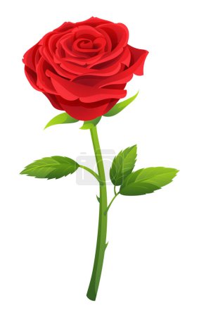 Illustration for Single red rose flower vector illustration isolated on white - Royalty Free Image
