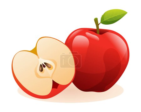 Téléchargez les illustrations : Pommes entières et à moitié coupées. Illustration vectorielle de fruits isolée sur fond blanc - en licence libre de droit