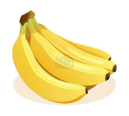 Ilustración de Manojo de plátanos vector ilustración aislado sobre fondo blanco - Imagen libre de derechos