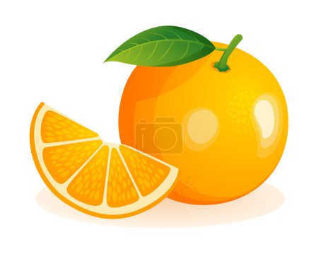 Illustration for Orange fruit whole and cut sliced. Vector illustration isolated on white background - Royalty Free Image