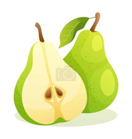 Ilustración de Pera verde entera y medio cortada. Ilustración vectorial de frutas aislada sobre fondo blanco - Imagen libre de derechos