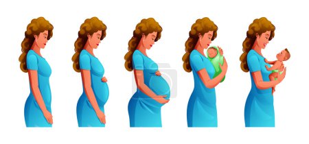 Illustration for Pregnancy stages. Changes in female body during pregnancy. Pregnant woman and newborn baby. Vector cartoon illustration - Royalty Free Image