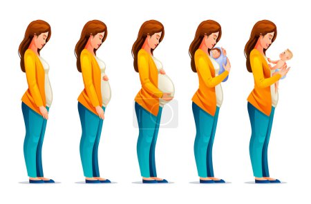 Téléchargez les illustrations : Stades de grossesse. Femme enceinte et nouveau-né. Changements dans le corps de la femme pendant la grossesse. Illustration vectorielle de dessin animé - en licence libre de droit