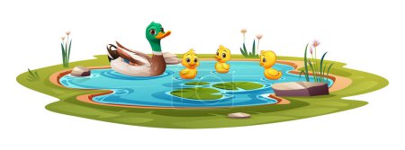 Illustration for Duck and little ducklings swimming in the pond. Vector cartoon illustration isolated on white background - Royalty Free Image