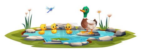 Illustration for Duck and ducklings swimming in the pond. Vector cartoon illustration - Royalty Free Image