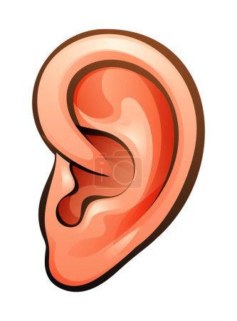 Illustration for Ear vector cartoon illustration isolated on white background - Royalty Free Image