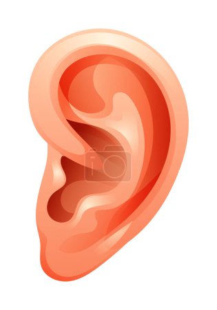 Ilustración de Ilustración del oído aislada sobre fondo blanco. Caricatura vectorial - Imagen libre de derechos