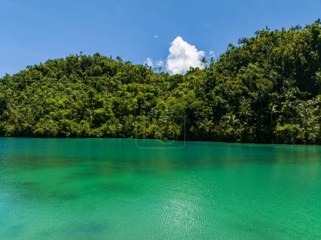 Foto de Agua turquesa en hermosa laguna en isla tropical. Bosque verde. Mindanao, Filipinas. - Imagen libre de derechos