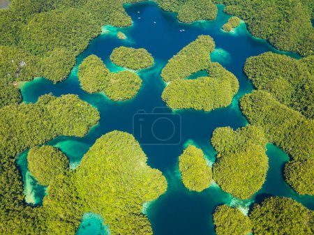Photo for Top view of lagoon landscape in Sohoton Cove. Natural nature composition. Bucas Grande Island. Mindanao, Philippines. - Royalty Free Image