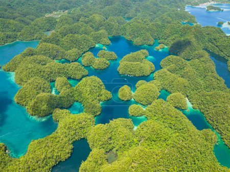 Photo for Aerial view of Turquoise water in Natural pool in Sohoton Cove. Surigao del Norte. Mindanao, Philippines. - Royalty Free Image