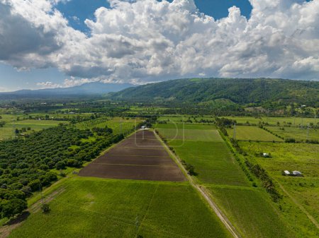 Foto de Vista aérea de tierras agrícolas y montañas con bosque verde. Mindanao, Filipinas. - Imagen libre de derechos