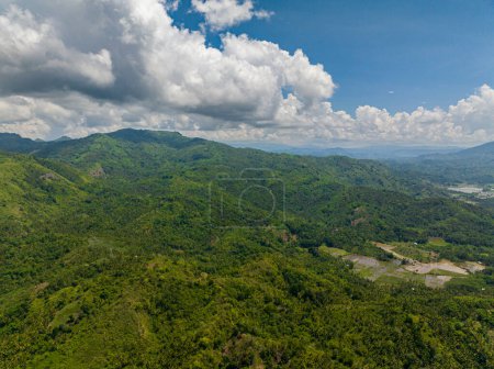 Foto de El follaje verde fresco, las plantas tropicales y los árboles cubren las montañas y el barranco. Mindanao, Filipinas. - Imagen libre de derechos
