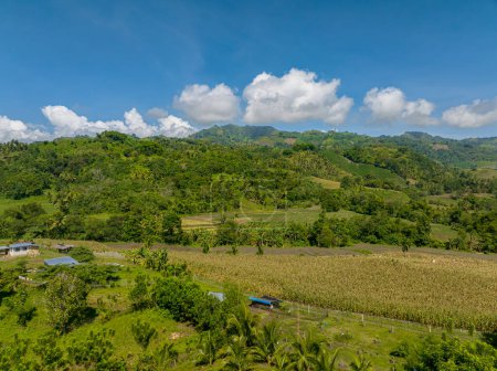 Foto de Montaña tropical con bosques verdes y tierras agrícolas con plantaciones agrícolas. Mindanao, Filipinas. - Imagen libre de derechos