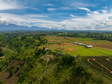Téléchargez les photos : Vue aérienne des montagnes couvertes de forêt tropicale, d'arbres et de ciel bleu avec des nuages. Mindanao, Philippines. - en image libre de droit