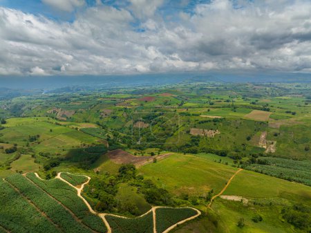Téléchargez les photos : Terres cultivables et forêt verdoyante à Bukidnon, Mindanao, Philippines. - en image libre de droit