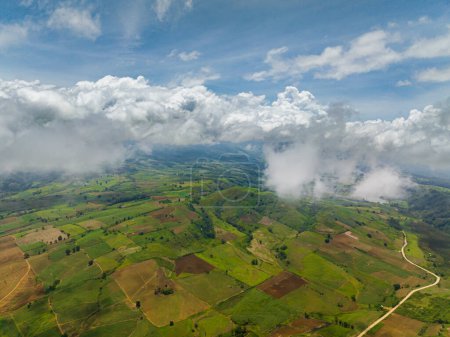 Photo for Plantation on agricultural land covered by clouds. Mindanao, Philippines. - Royalty Free Image