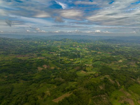 Foto de Exuberante vegetación con selva tropical. Cielo azul y nubes. Mindanao, Filipinas. - Imagen libre de derechos