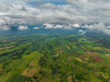 Téléchargez les photos : Terrain agricole avec rizières vertes. Mindanao, Philippines. - en image libre de droit