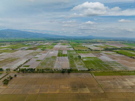 Tropical farmland and agricultural fields in the Philippines. Mindanao.