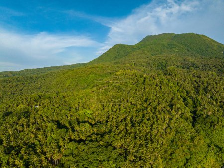 Foto de Paisaje escénico de montaña con palmeras y bosque de vegetación en la isla de Camiguin. Filipinas. - Imagen libre de derechos