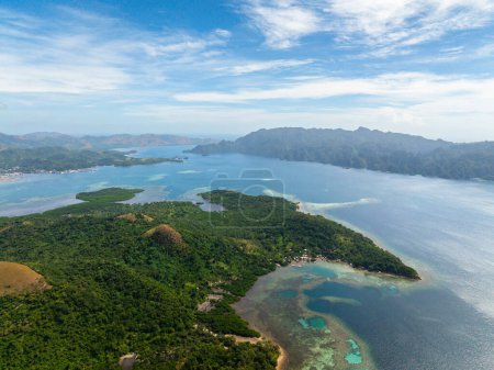 Foto de Agua de mar turquesa alrededor de la isla con manglares. Lajala, Coron. Palawan. Filipinas. - Imagen libre de derechos