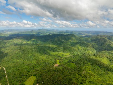 Foto de Provincia de montaña con plantas verdes y selva. Coron, Palawan. Filipinas. - Imagen libre de derechos