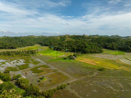 Terrain agricole et collines de montagne à Santa Fe, Tablas, Romblon. Philippines.