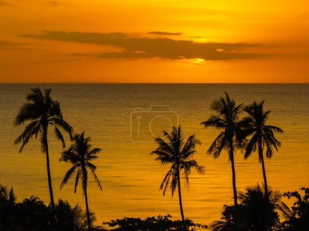 Bewölkter Sonnenuntergang über dem Meer. Kokospalmen in Santa Fe, Tablas, Romblon. Philippinen.