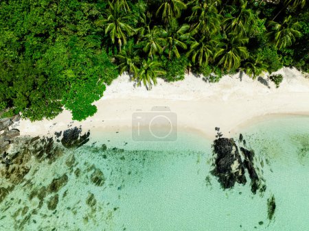 Top view of white sand beach with palm trees and clear water. Tiamban Beach. Romblon Island. Romblon, Philippines.