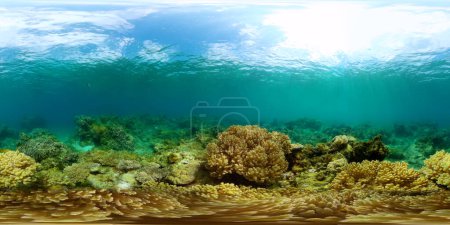 Unterwasserwelt. Bunte tropische Fische und Korallen. Meeresschutzgebiet, geschütztes Gebiet. 360-Grad-Ansicht.