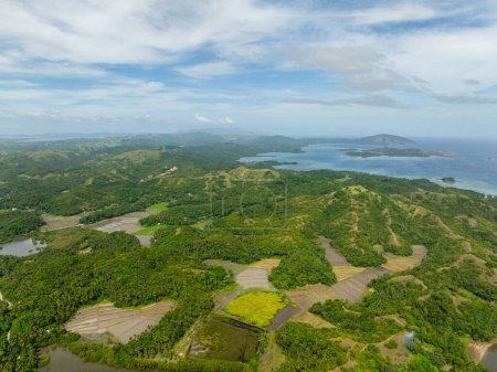 Isla Tropcial con arrozales y verdes colinas. Santa Fe, Tablas, Romblon. Filipinas.
