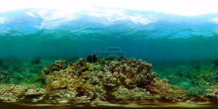 Tropische Fische und Korallenriffe, Meereslandschaft unter Wasser. Unterwasserwelt. Monoskopisches Bild.