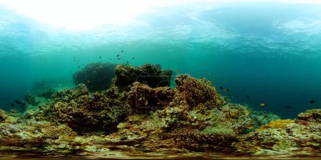 Unterwasserwelt. Bunte tropische Fische und Korallen. Äquivalentes Panorama.