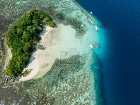 Téléchargez les photos : Belle îlot avec des plantes vertes et une plage de sable. CYC Beach à Coron, Palawan. Philippines. - en image libre de droit