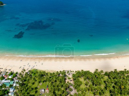Top view of coconut trees in Nacpan Beach. Sea waves on sands. El Nido, Philippines.