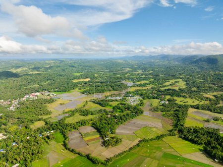 Aerial view of paddy farm fields with houses of farmers and green forest in Tablas Island. Romblon, Philippines.