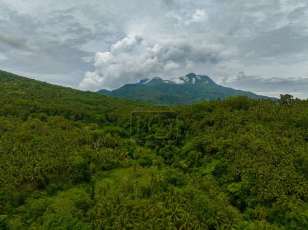 Bosque verde tropical en las montañas y colinas selváticas en las tierras altas de la isla de Camiguin. Filipinas.