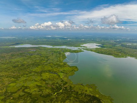 Agusan Marsh Wildlife Sanctuary: A vast wetland of swamp forests, watercourses and lakes. Mindanao, Philippines. Drone view.