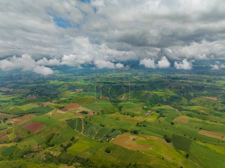 Téléchargez les photos : Vue de dessus des pentes de montagne avec forêt et terres agricoles des agriculteurs. Mindanao, Philippines. - en image libre de droit