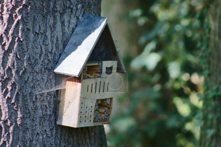 Téléchargez les photos : La maison des abeilles maçons rouges. Une boîte pour les abeilles maçon rouge, pollinisateurs de fleurs dans le jardin. - en image libre de droit